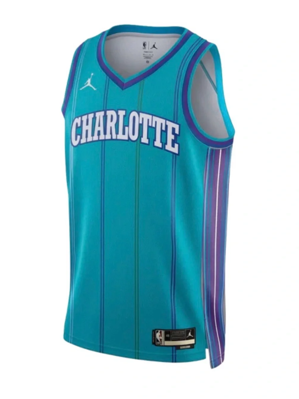 Nike Jordan Charlotte Hornets Swingman Classic Jersey Men’s Size M NWT